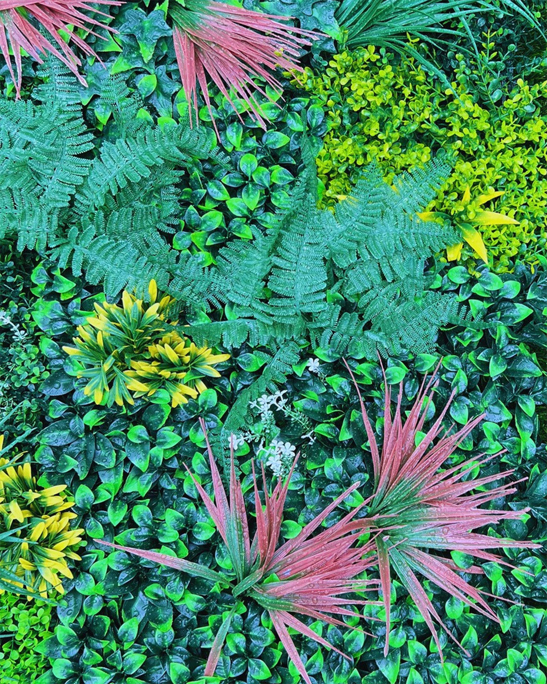 Jardin-vertical-Exterior-Amazona