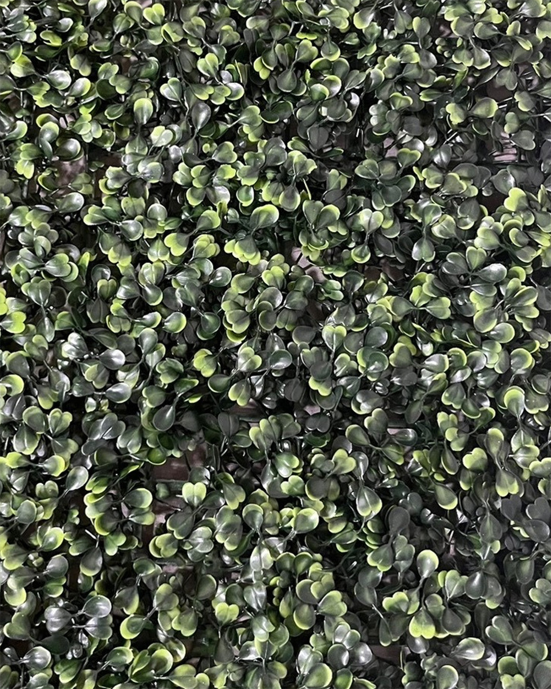 Jardin-vertical-Interior-Tundra